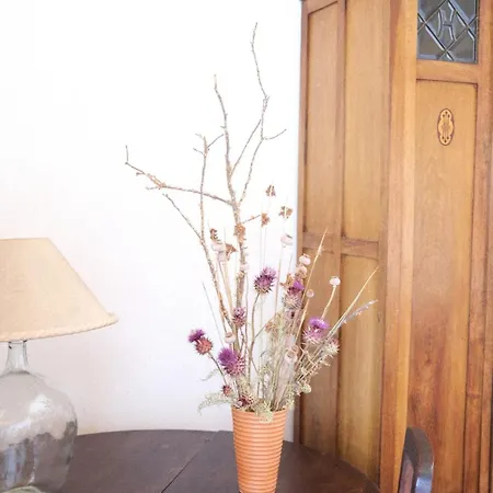 Quinta Maria Gil - A Apartman Lourinhã